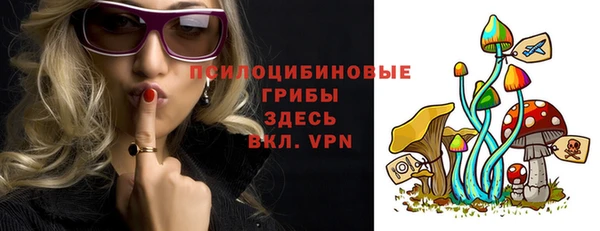 spice Верхний Тагил