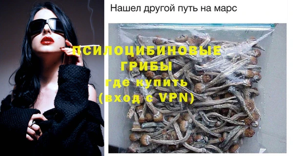 spice Верхний Тагил